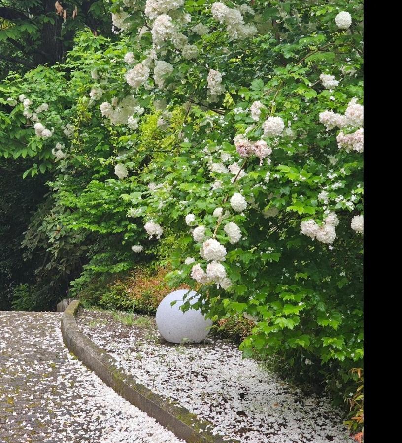 L'Ortensia Della Villa Isabella, Camera Con Vista Lago, Balcone Sul Parco E Bagno Esclusivo All'Esterno Della Camera Stresa Kültér fotó